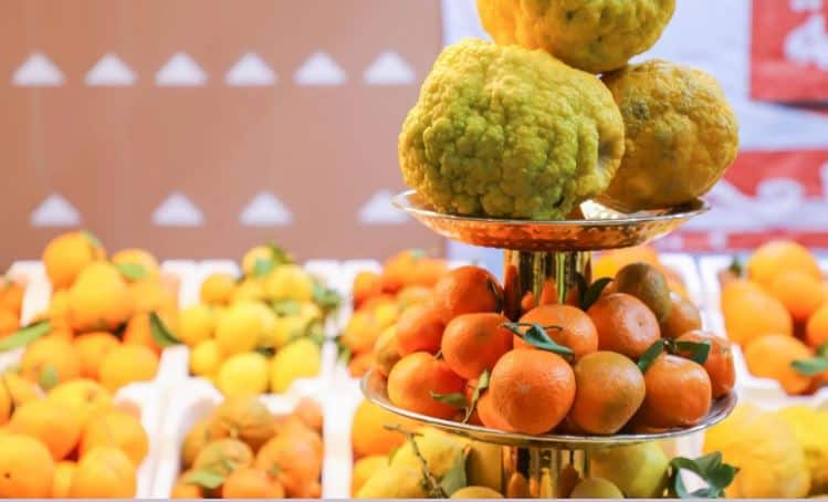 مهرجان الحمضيات بالحريق