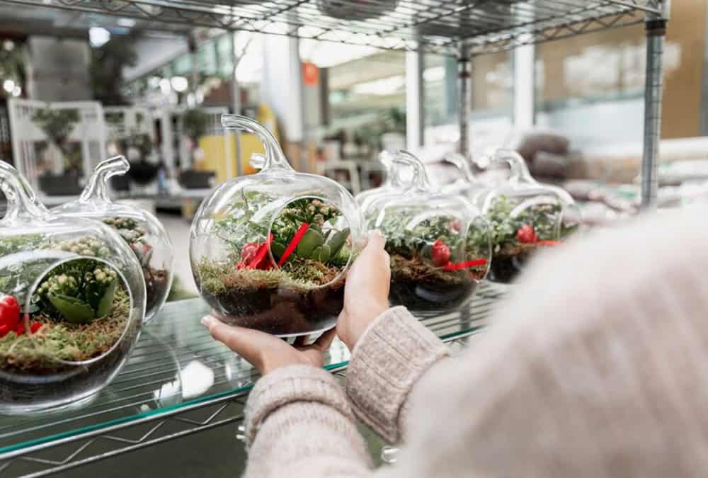 مشروع إنتاج المنتجات البلاستيكية القابلة للتحلل
