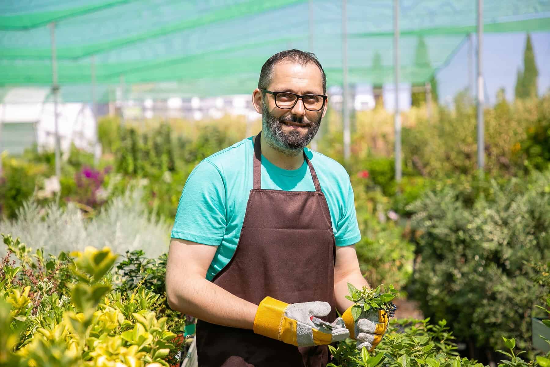 إمتياز العناية بالعشب.. مفاهيم ومصطلحات