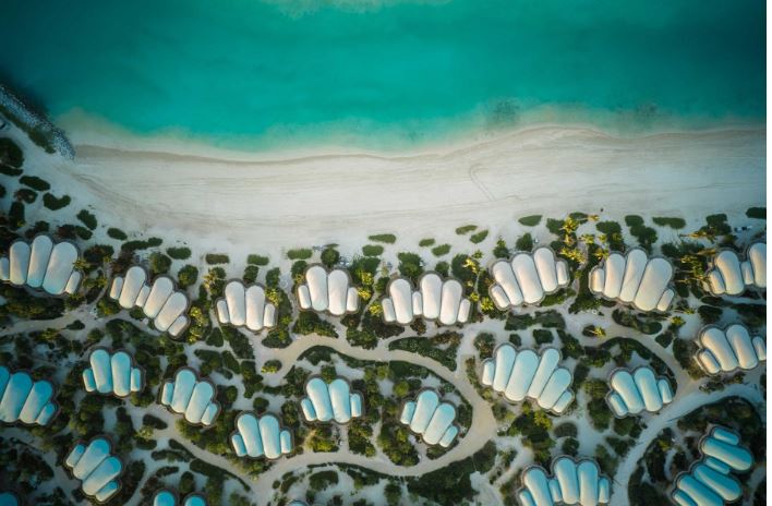 البحر الأحمر الدولية