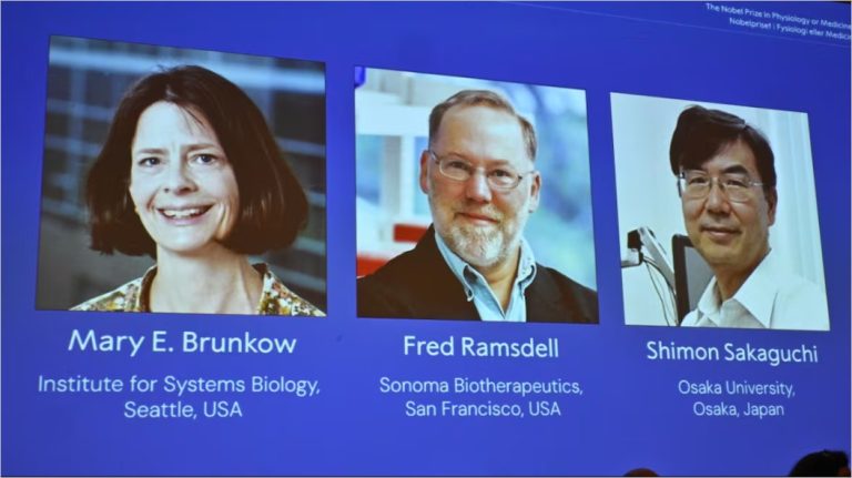 جائزة نوبل في الطب 2025