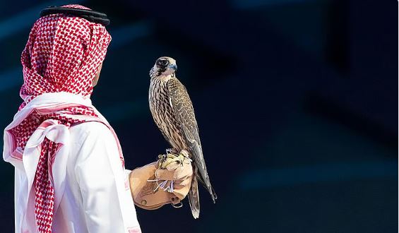 مزاد نادي الصقور السعودي 2025